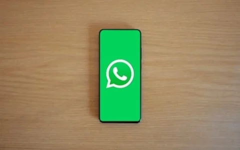 Aprenda a colocar música no status do Whatsapp